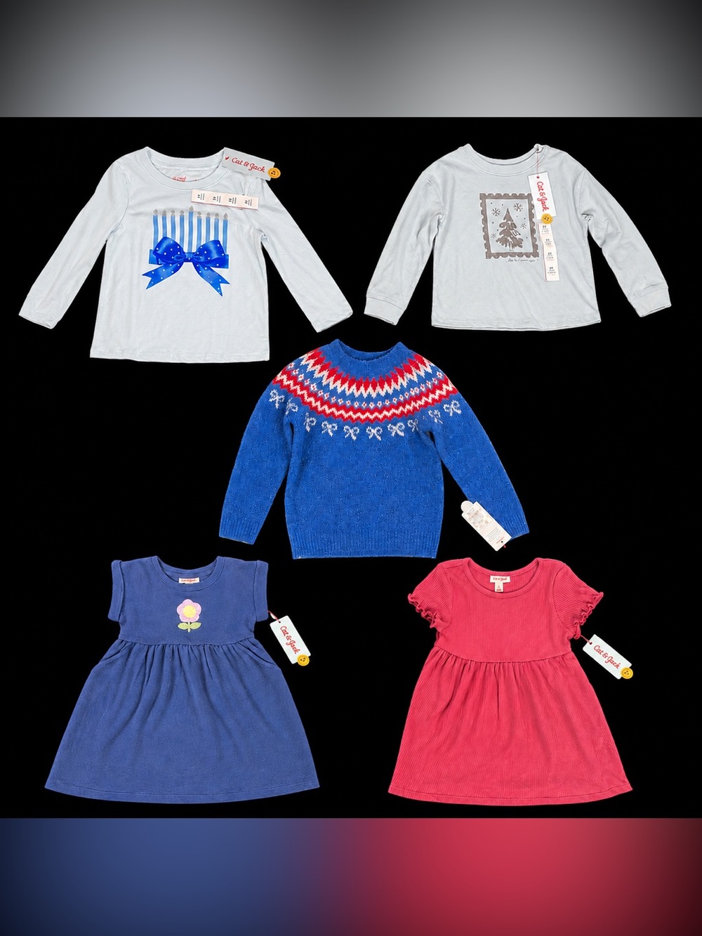 Cat & Jack Girls 3T Clothing Lot 5pc Dresses Sweater Tops NWT Target MSRP $50+